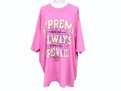 新品未使用 Supreme シュプリーム Always Prevail S/S Top 半袖Ｔシャツ カラー ピンク サイズ L FW25KN48 中古 4b006382
