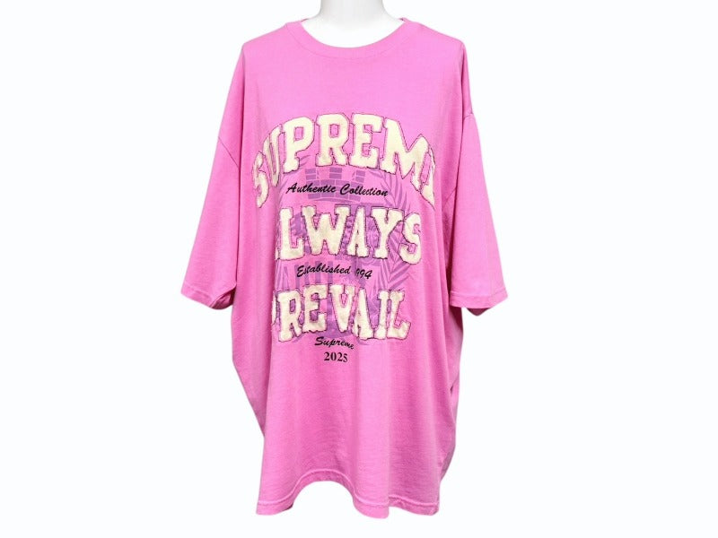 新品未使用 Supreme シュプリーム Always Prevail S/S Top 半袖Ｔシャツ カラー ピンク サイズ L FW25KN48 中古 4b006382