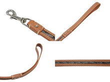 Load image into Gallery viewer, GOYARD ゴヤール リード ペット用品 ペットグッズ ブラウン PVC レザー ヘリンボーン シルバー金具 美品 中古 4b006692