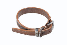 画像をギャラリービューアに読み込む, GOYARD ゴヤール 首輪 リード ペット用 ヘリンボーン ブラウン PVC レザー シルバー金具 良品 中古 4b006693
