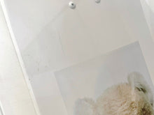 画像をギャラリービューアに読み込む, 極美品 SUPREME × Mike Kelly シュプリーム × マイクケリー Ahh...Youth! Skateboard スケートボードデッキ 18FW ホワイト 中古 4c071301