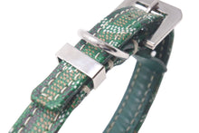 画像をギャラリービューアに読み込む, GOYARD ゴヤール 首輪 リード ペット用 ヘリンボーン グリーン PVC レザー シルバー金具 美品 中古 4c072587