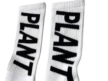 画像をギャラリービューアに読み込む, 新品未使用 SAINT MICHAEL セントマイケル 靴下 ソックス ロゴ刺繍 ブラック ホワイト コットン サイズM SM-YS1-0000-C13 中古 4c071149