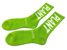 画像をギャラリービューアに読み込む, 新品未使用 SAINT MICHAEL セントマイケル 靴下 ソックス ロゴ刺繍 グリーン ホワイト コットン サイズL SM-YS1-0000-C16 中古 4c071151