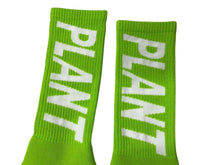 画像をギャラリービューアに読み込む, 新品未使用 SAINT MICHAEL セントマイケル 靴下 ソックス ロゴ刺繍 グリーン ホワイト コットン サイズL SM-YS1-0000-C16 中古 4c071151