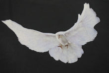 画像をギャラリービューアに読み込む, 新品未使用 YEEZY × GAP ENGINEERED BY BALENCIAGA DOVE ダヴ 半袖Tシャツ 471281 サイズXL ブラック Ye 鳩 中古 4c076146