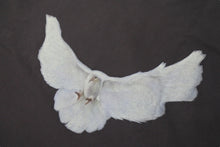 画像をギャラリービューアに読み込む, 新品未使用 YEEZY × GAP ENGINEERED BY BALENCIAGA DOVE ダヴ 半袖Tシャツ 471281 サイズM ダークグレー Ye 鳩 中古 4c076147