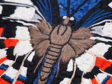画像をギャラリービューアに読み込む, GUCCI グッチ 半袖 トップス レース 刺繍 トリコロール 蝶 ブルー 434551-X5E56 サイズL レディース 良好 N34697